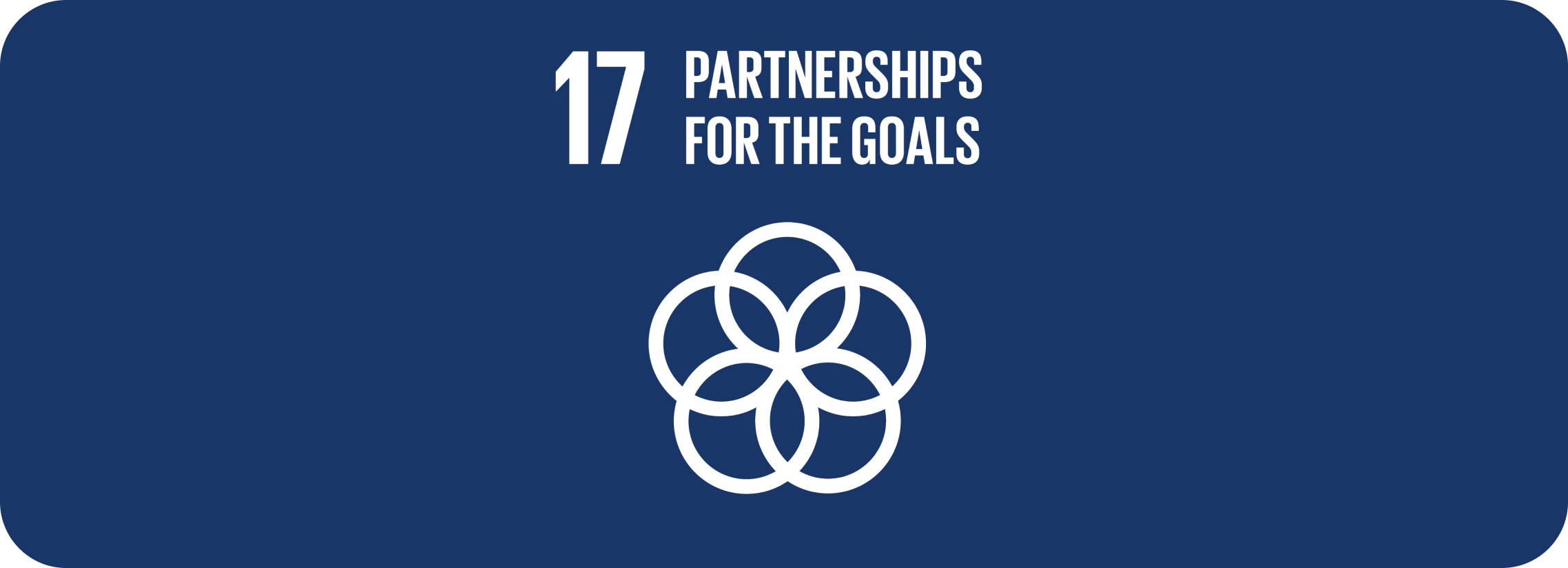 Partnerships