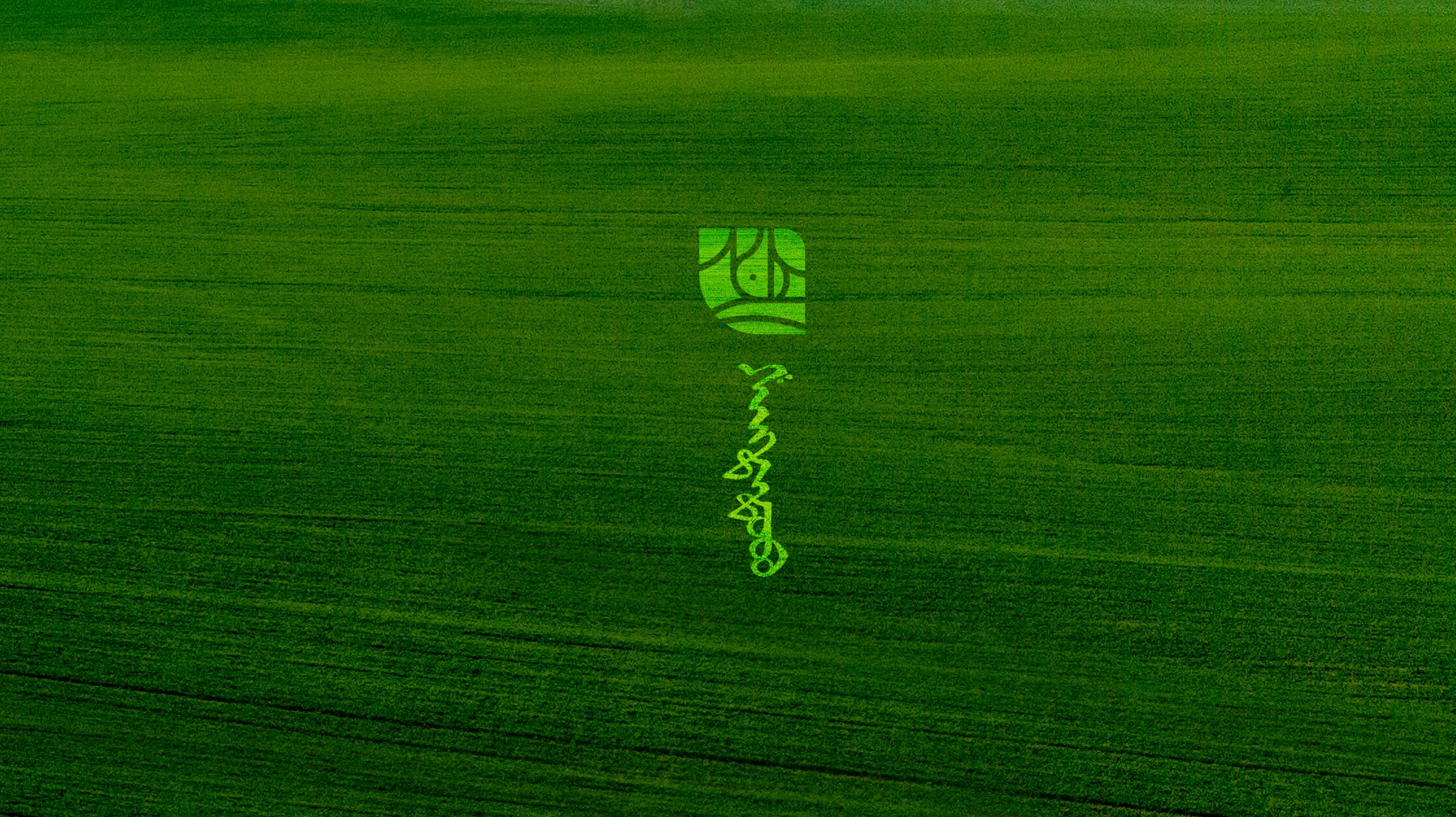 Наранбаатар Д.